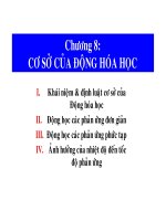 CƠ SỞ CỦA ĐỘNG HÓA HỌC pps