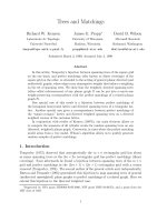 Báo cáo toán học: 