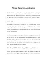 Visual Basic for Application docx