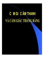 Bài giảng thần kinh thính giác part 1 docx