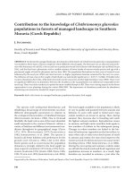 Báo cáo lâm nghiệp: 