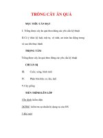 Giáo án Công nghệ lớp 9 : Tên bài dạy : TRỒNG CÂY ĂN QUẢ pot