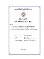Đánh giá tác động của dồn điền đổi thửa đến phát triển kinh tế hộ nông dân tại thị trấn nghèn, huyện can lộc, tỉnh hà tĩnh