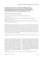 Báo cáo lâm nghiệp: 