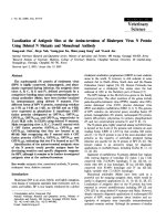 Báo cáo khoa học: 