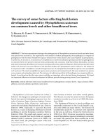 Báo cáo lâm nghiệp: 