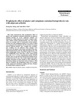 Báo cáo khoa học: 