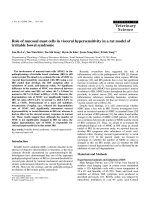 Báo cáo khoa học: 