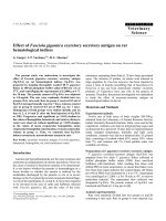 Báo cáo khoa học: 