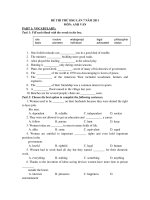 ĐỀ THI THỬ HSG LẦN 7 NĂM 2011 MÔN: ANH VĂN docx