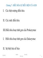 MỘT SỐ BIỂU HIỆN KIỂU GEN pptx