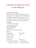 Giáo án Công dân lớp 9 : Tên bài dạy : LÀM VIỆC CÓ NĂNG SUẤT, CHẤT LƯỢNG HIỆU QUẢ ppt