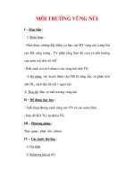 Giáo án Địa Lý 7 : Tên bài dạy : MÔI TRƯỜNG VÙNG NÚI ppt