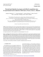 Báo cáo lâm nghiệp: 