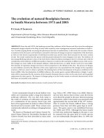 Báo cáo lâm nghiệp: 