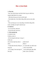 Giáo án Công dân lớp 9 : Tên bài dạy : Bảo vệ hoà bình pot