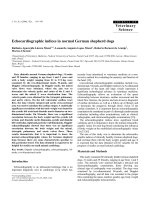 Báo cáo khoa học: 