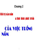 Giá trị của nấm & tình hình phát triển pot