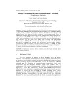 Báo cáo vật lý: 