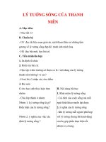 Giáo án Công dân lớp 9 : Tên bài dạy : LÝ TƯỞNG SỐNG CỦA THANH NIÊN pot