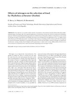 Báo cáo lâm nghiệp: 