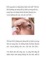 Khi mang thai có dùng được thuốc nhỏ mắt? doc