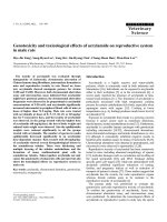 Báo cáo khoa học: 