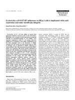 Báo cáo khoa học: 