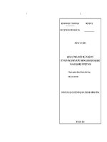 Quản lý nhà nước dự án đầu tư từ ngân sách nhà nước trong giáo dục đại học và sau đại học ở Việt Nam (tóm tắt)