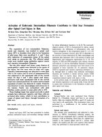 Báo cáo khoa học: 