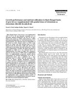 Báo cáo khoa học: 