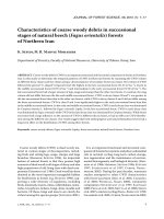 Báo cáo lâm nghiệp: 