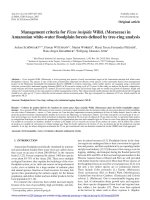 Báo cáo lâm nghiệp: 