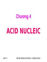 CHƯƠNG 4: ACID NUCLEIC potx