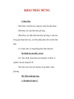 Giáo án Công nghệ lớp 7 : Tên bài dạy : KHAI THÁC RỪNG ppt