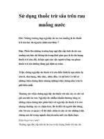 Sử dụng thuốc trừ sâu trên rau muống nước pps