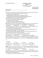 ĐỀ THI TRẮC NGHIỆM MÔN vật lý - Mã đề thi 628 pps