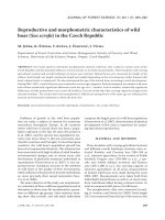 Báo cáo lâm nghiệp: 