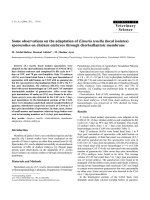 Báo cáo khoa học: 