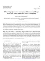 Báo cáo lâm nghiệp: 