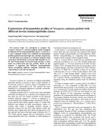 Báo cáo khoa học: 