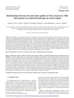 Báo cáo lâm nghiệp: 