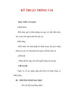 Giáo án Công nghệ lớp lớp 9 : Tên bài dạy :KỸ THUẬT TRỒNG VẢI ppsx