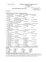 ĐỀ KIỂM TRA GIỮA KỲ I NĂM HỌC 2010 - 2011 MÔN TIẾNG ANH LỚP: 11 - Mã đề thi 215 doc