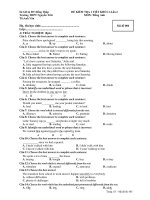 ĐỀ KIỂM TRA 1 TIẾT KHỐ 11 Lần 2 MÔN :Tiếng Anh - Mã đề 004 ppsx