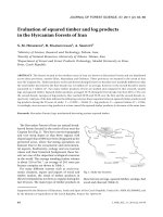 Báo cáo lâm nghiệp: 