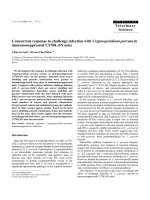 Báo cáo khoa học: 