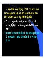 Bài giảng Chức năng vận động của hệ thần kinh trung ương part 6 ppsx