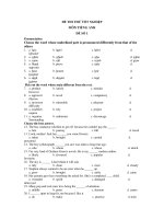 ĐỀ THI THỬ TỐT NGHIỆP MÔN TIẾNG ANH ĐỀ SỐ 1 pptx