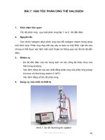 VẬN TỐC PHẢN ỨNG THẾ HALOGEN ppt